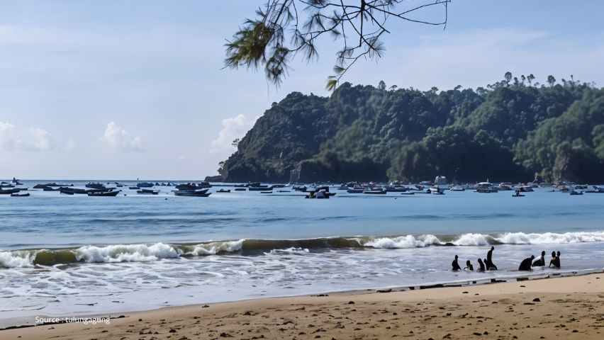 Cemara Sewu Bunton: Surga Wisata Pantai yang Menyatu dengan Hidup Warga Cilacap