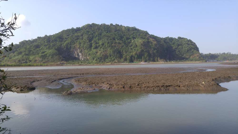 Cemara Sewu Bunton: Jantung Hidup Pantai Cilacap yang Tak Pernah Lelah
